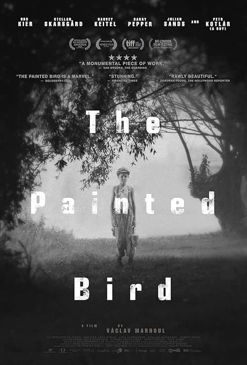 The Painted Bird film posteri